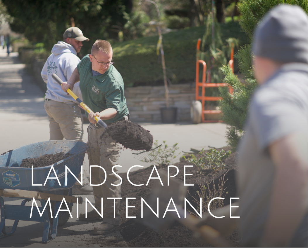 Landscape Maintenance
