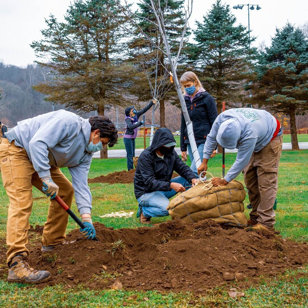 Fox Chapel, PA Landscape Design Services